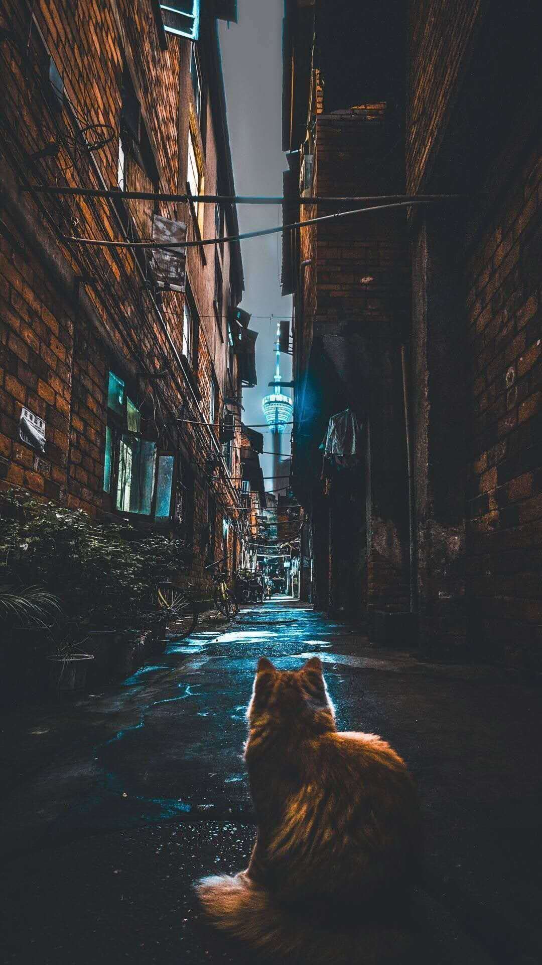 王祎豪